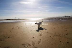 Dog Friendly 6 Berth Static Caravan By The Beach In Hunstanton Ref 13008L