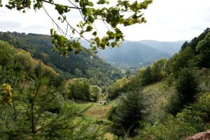 Hotels Logis Auberge Du Mehrbachel - Hotel & Restaurant : photos des chambres