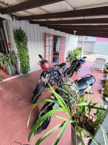 Casa para temporta no Norte da Ilha / Florianópolis