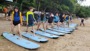 Surf and stay surf camp & school