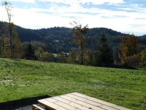 Maisons de vacances Gite neuf au calme pres de Gerardmer avec terrasse et balades en foret - FR-1-589-217 : photos des chambres
