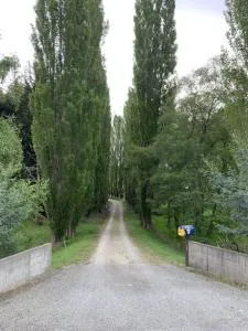 Herbert Hampden Cottage - 莫拉基