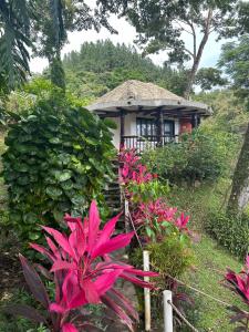 Villa La Fortuna B&B Altos del Maria