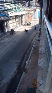 Casas em arraial