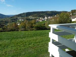 Maisons de vacances Gite neuf au calme pres de Gerardmer avec terrasse et balades en foret - FR-1-589-217 : photos des chambres