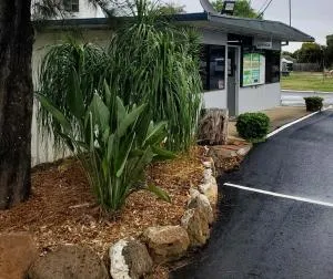 Pioneer Caravan Park - دالبي