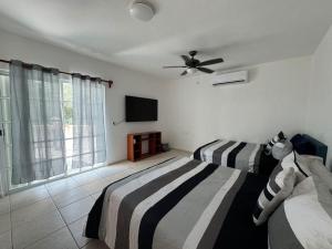 Suites Amplias en Quinta Avenida
