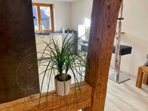 Maisons de vacances Maison de charme - 7 personnes - centre ville : photos des chambres