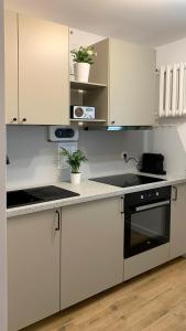 3-Room Apartment, City Center, Netflix & Wifi