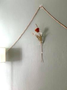 Entire House 6 people 3Beds 2Baths near BTS Asoke Terminal21