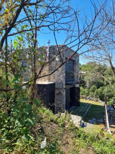 Chalet - Stone Cabin