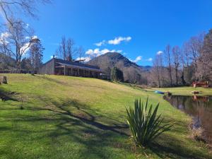 Turismo consciente y de reconexión en Pucón incluye Depto, Baño de Bosque terapéutico y Mindfulness en Parque Kulatrayquen