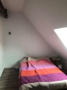 Grande maison avec piscine