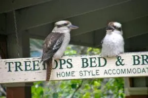 Treetops Bed & Breakfast - Blackburn