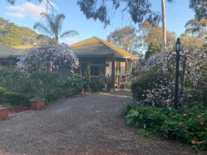 Treetops Bed & Breakfast