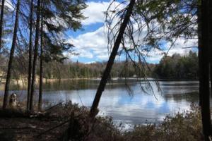 Luxury Lake Loghouse - Mont Tremblant