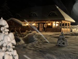 Barlogul Ursului Bilbor