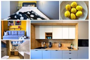 Komfortowe studio przy Uniwersytecie, parking