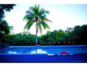 Gir Orchid Resort, Bhojde, Gujarat