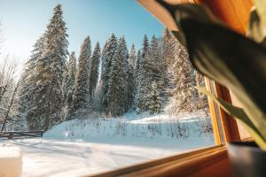 Apartamenty nad Potokiem