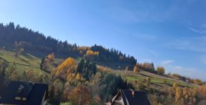 Gładyszówka - Chatka w Gorcach
