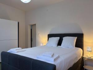 Charmant appartement au cœur de Sion