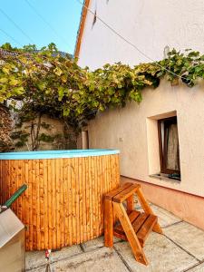 Casa Ursului - Rustic house in traditional village