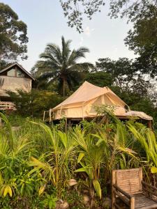 The Hidden Gem Viewpoint Camping & Rooms