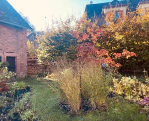 B&B / Chambres d'hotes En Passant : photos des chambres