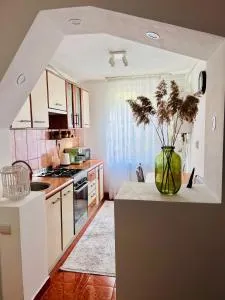 Central Apartment - 斯维什托夫