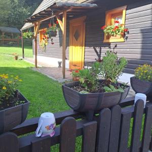 Drevenica pod Lánom