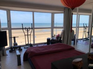 Villas Villaloha Deluxe Bray-dunes Beach : photos des chambres