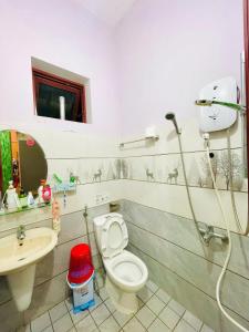 Giường Đơn Trong Phòng Nghỉ Tập Thể Cho Cả Nam Và Nữ (Single Bed in Mixed Dormitory Room)