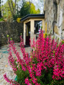 Dom Wypoczynkowy Bajka