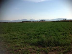 Pisceneris Holiday Home