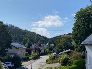 FeWo Skywalk Willingen