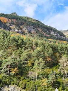 Apartamento IZAS Canfranc