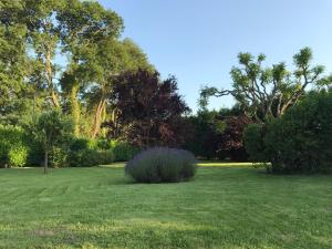 Maisons de vacances Longere normande avec grand jardin : photos des chambres
