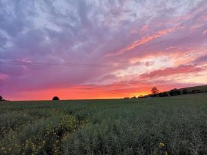 Kings Cottage - Heart of the Deverills - EV Point