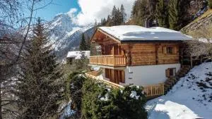 Chalet Narnia - Ayer