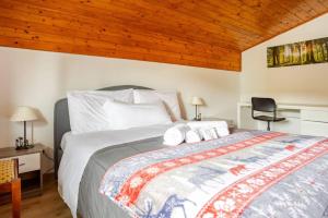 Luxury Apartment on the mountains Wi-fi - Parking