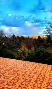 Touraco - Stutterheim