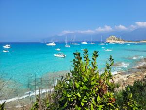 Appartements New O Cosy T2 - Bastia : photos des chambres