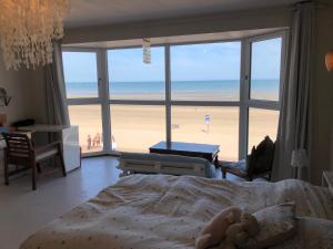 Villas Villaloha Deluxe Bray-dunes Beach : photos des chambres