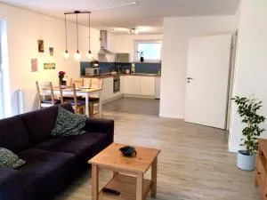 Bliesgau Apartment - 萨尔格米纳