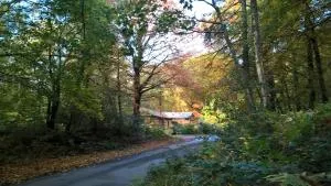 The Shack, Cally Avenue, Gatehouse of Fleet, Dumfries and Galloway, DG7 2 DH - Girthon