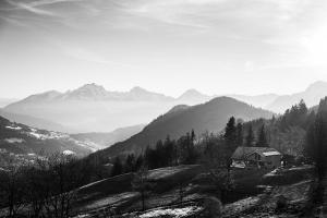Chalets Chalet cabane pleine nature : photos des chambres