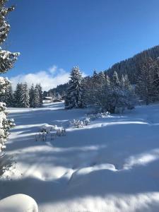 Très bel appartement à Megève