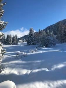 Très bel appartement à Megève