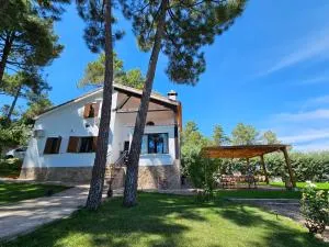 La Piñona - 埃尔蒂恩夫洛